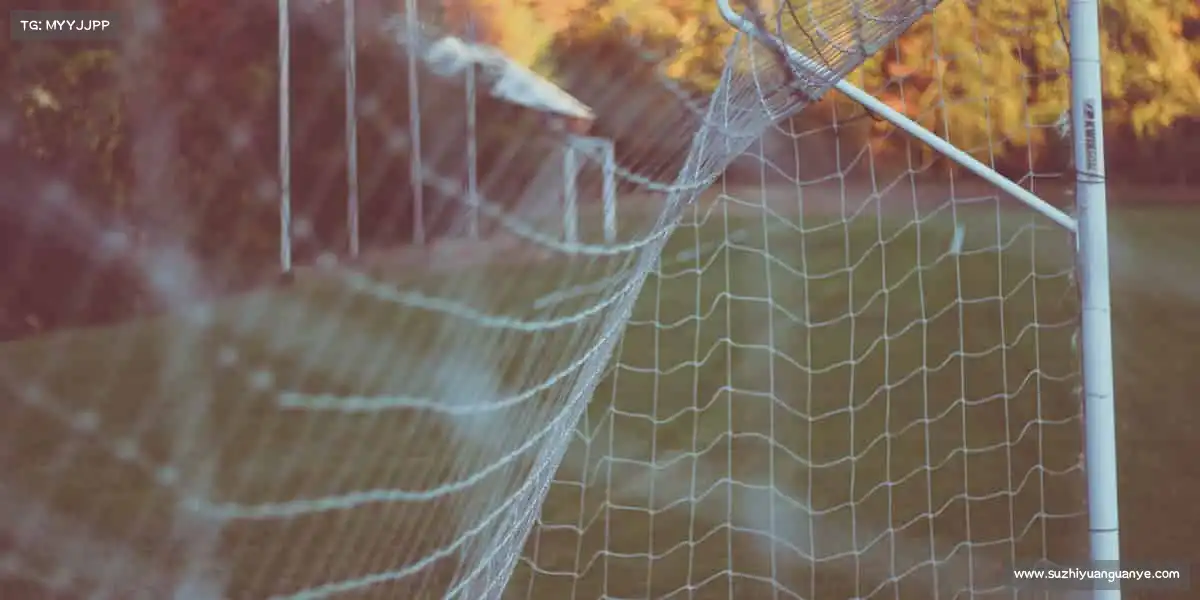 为什么选择我们